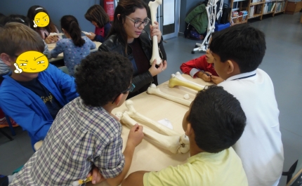 Estudantes do Instituto Piaget de Silves ensinam anatomia a alunos do Centro Escolar do Pontal (Portimão) 