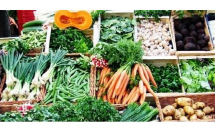 Exportações de frutas, legumes e flores crescem 10% no primeiro trimestre de 2020