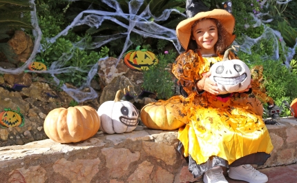 Zoomarine celebra Halloween com programação especial de até 1 de novembro