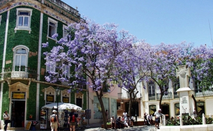 Lagos participa nas comemorações do Dia Nacional dos Centros Históricos