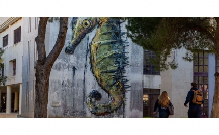 Encontram-se abertas as candidaturas ao Prémio Boas Práticas da Universidade do Algarve