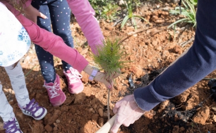 A «Semana Verde - Green Week», promovida pela Câmara de Lagoa, também envolveu alunos de Portimão