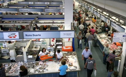 Mercado Municipal de Portimão abre hasta pública para atribuição do direito de exploração de um espaço comercial 