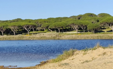 Foz do Almargem e do Trafal, Um tesouro que deu prémios