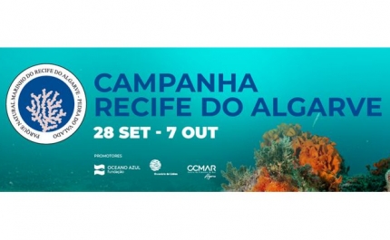 CIÊNCIA, COMUNIDADE E FUTURO: CAMPANHA CIENTÍFICA REFORÇA PROTEÇÃO DA PEDRA DO VALADO