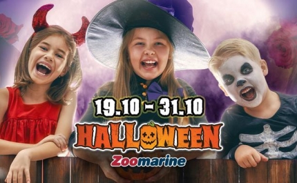 Halloween Assustadoramente Divertido no Zoomarine