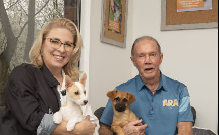 Jornalista Nathalie Dias Lança Emocionante Livro «O Reino dos Cães de 3 Patas»