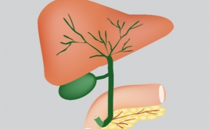 Sociedade Portuguesa de Gastrenterologia alerta para o diagnóstico precoce da Colangite Biliar Primária