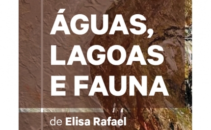 Exposição de Pintura e Técnicas Mistas | «Águas, Lagoas e Faunas» | Elisa Rafael 