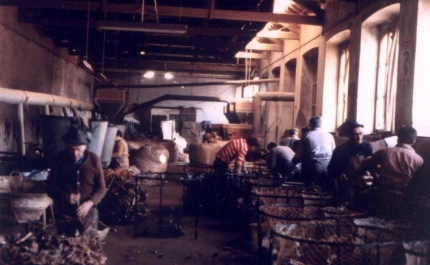 MUNICÍPIO DE SILVES ASSINALA 90 ANOS DA MANIFESTAÇÃO CORTICEIRA DE 22 DE JUNHO DE 1924