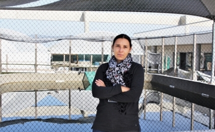 Aves marinhas fortemente afetadas por lixo da pesca 