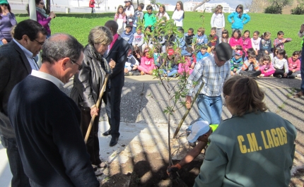 Município de Lagos assinalou Dia Mundial da Árvore e das Florestas