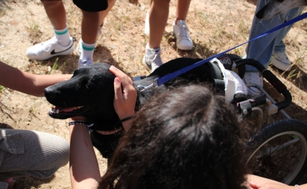 Animal Rescue Algarve visita Centro de Bem-Estar Social em Olhão 