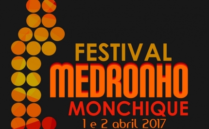 FESTIVAL DO MEDRONHO