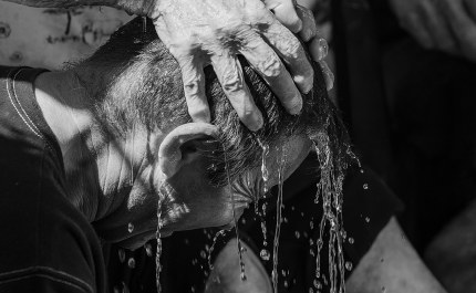 «RIZOMAS»: EXPOSIÇÃO DE JOANA DIONÍSIO PROMOVE SUSTENTABILIDADE NO GEOPARQUE ALGARVENSIS