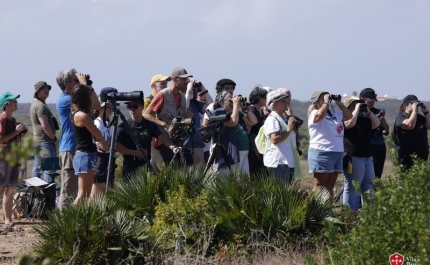 Sagres recebeu participantes de todos os continentes para quatro dias de observação de aves e natureza