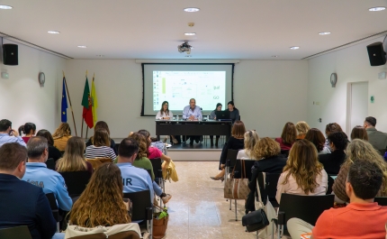 Reunião do CLASO reforça articulação da Rede Social e aprova Plano de Ação para 2026