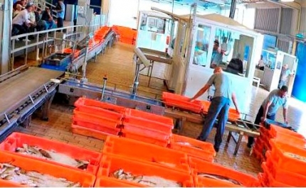 DOCAPESCA LANÇA CAMPANHA DE PROMOÇÃO DO PESCADO FRESCO PORTUGUÊS