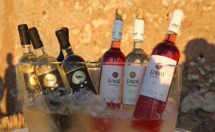 Produtores vitivinícolas de Portimão dão a conhecer os seus melhores vinhos na antiga lota de Alvor
