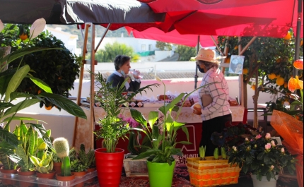 Os «Sabores & Saberes de Odeleite» voltaram aos Mercadinhos na Aldeia