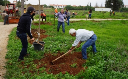 Plantação de 100 árvores assinalou Dia da Floresta Autóctone em Altura