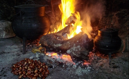 SÃO BRÁS DE ALPORTEL PREPARA-SE PARA RECEBER O VERÃO DE SÃO MARTINHO