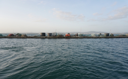«WATERWORLD»: FICÇÃO MULTIDISCIPLINAR VAI REFLETIR SOBRE IMPACTO DAS ALTERAÇÕES CLIMÁTICAS NA RIA FORMOSA 