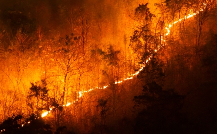 Três concelhos dos distritos de Faro com risco máximo de incêndio