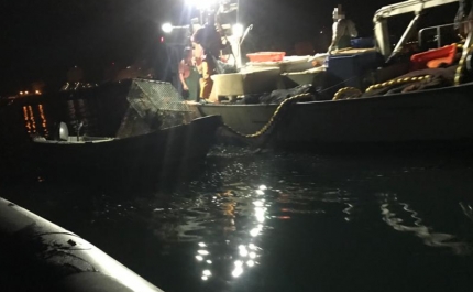 Apreendidas 400kg de cavala em embarcação em Portimão