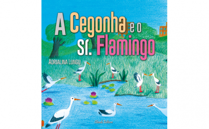 «FESTIVAL PLAY» TRAZ CINEMA PARA CRIANÇAS E JOVENS A ALBUFEIRA