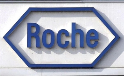 Roche atribui 45 mil euros em «bolsas de cidadania»