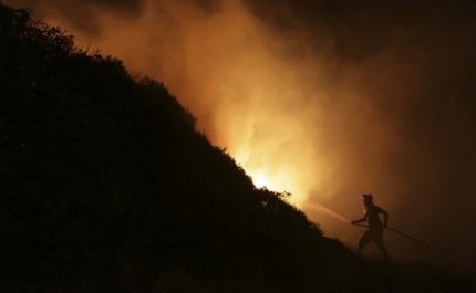 Grandes incêndios de 2017 afetaram cerca de 10.000 empregos