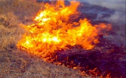 Incêndios: Quase 150 operacionais e nove meios aéreos combatem fogo em Aljezur