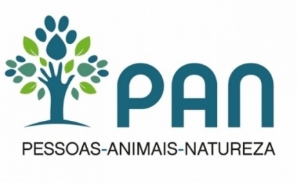 PAN quer que Governo inclua alimentos à base de proteína vegetal no cabaz de bens essenciais com IVA zero