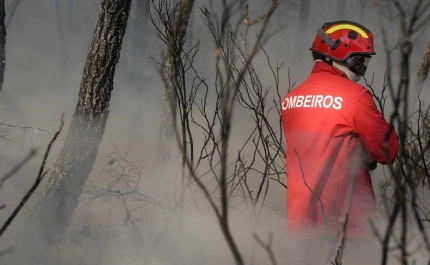 Incêndios: Concelho de Portimão em risco máximo