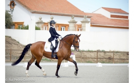 LEONOR COELHO & MONARCA DO LIS, CONVOCADOS PARA REPRESENTAR PORTUGAL NO CAMPEONATO DA EUROPA 