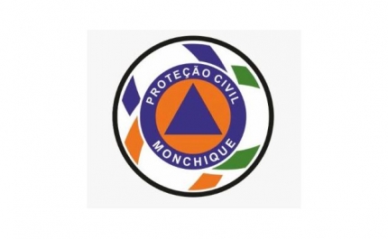 TEMPESTADES LEONARDO e MARTA – Ponto de Situação Municipal 