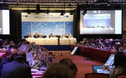 DGRM organiza reunião internacional ICCAT 2022