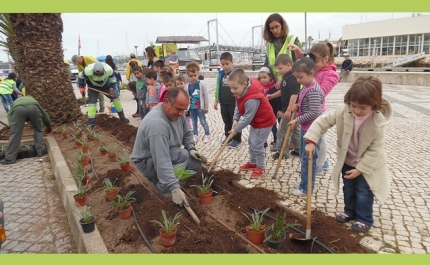 Dia Mundial da Árvore assinalado em Lagos