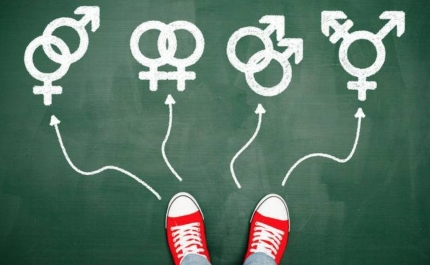 Escolas vão ter responsável para jovens manifestarem identidade de género