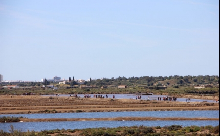 Dia Aberto da Reserva Natural do Sapal de Castro Marim e Vila Real de St. António