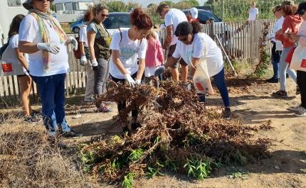 QUARTEIRA | MAR Shopping Algarve promove 5ª Edição Limpeza de Praia com ênfase nas plantas invasoras