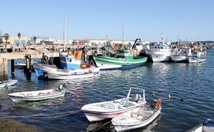 Porto de Pesca de Olhão será palco de exercício de combate à poluição do mar