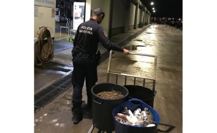 Polícia Marítima apreende cerca de 54kg de pescado em Alvor