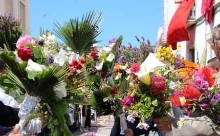 São Brás de Alportel cancela Festa das Tochas Floridas