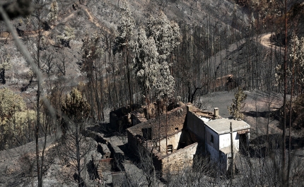 Bispo do Algarve lamenta demora na aplicação dos donativos às vítimas do fogo de Monchique