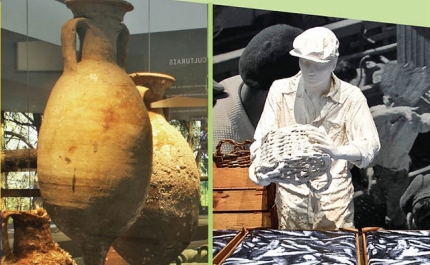 PROGRAMA DO 11º ANIVERSÁRIO DO MUSEU DE PORTIMÃO