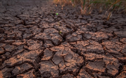 ICArEHB Dialogues regressa com temática sobre a «Humanidade e Alterações Climáticas»