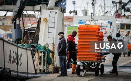 Bruxelas quer corte nas pescas de linguado, tamboril e pescada para 2021