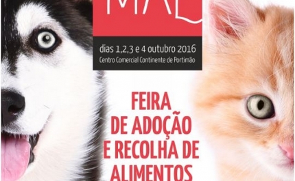 CCC Portimão abre portas à «Feira de Adoção Animal e de Recolha de Alimentos»